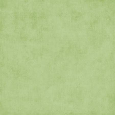 Riley Blake Shades C200-FERN