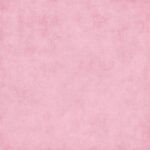 Riley Blake Shades C200-CARNATION