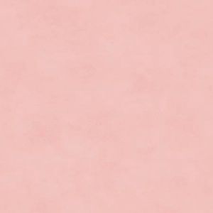 Shadow Play Powder Pink 513-P7