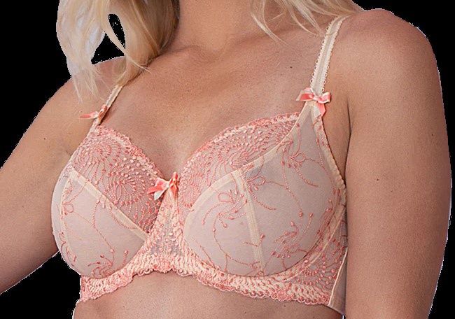 FFY B2271 NICOLE UW SEAM BRA IVORY CREAM SUNSET