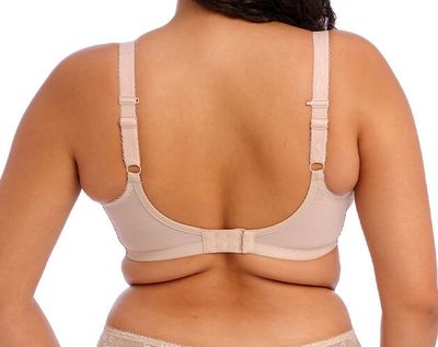 ELOM EL4382 CHARLEY UW SEAM PLNG BRA FAN