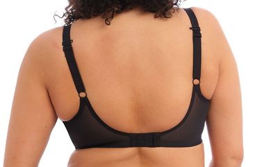 ELOM EL8081 BRIANNA UW HLF PAD BRA BLK
