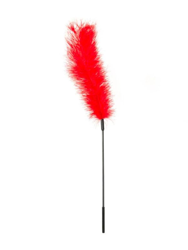 FEATHER OSTRICH