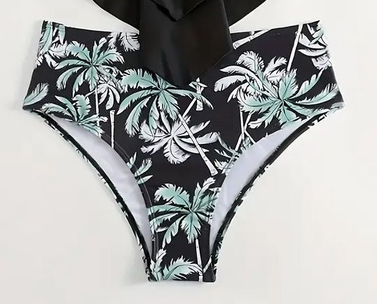BRIEF SWIM 39770 RUCHED BKPRT