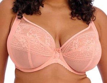 sale ELOM EL301602 KENDRA UW PLNG BRA RUD