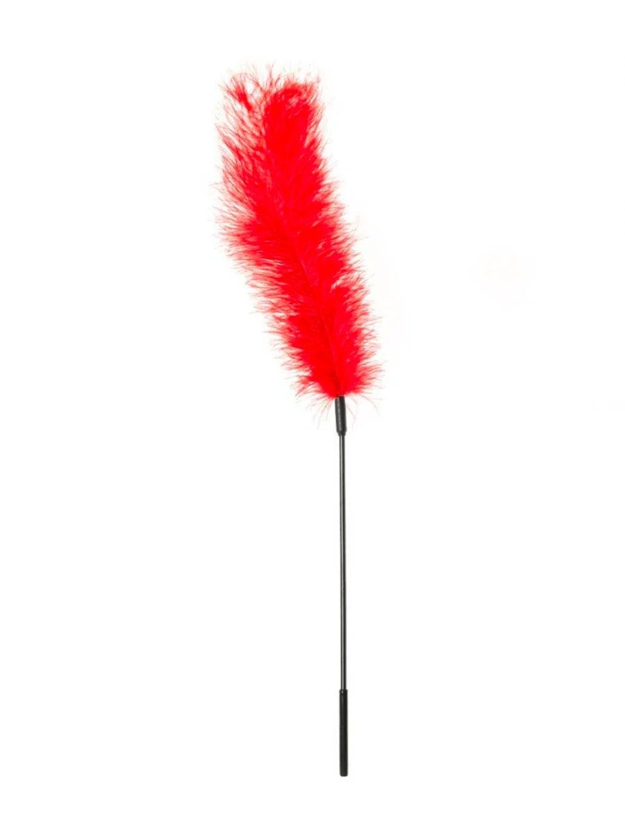 FEATHER  SS OSTRICH, Colour: Red