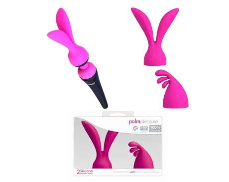 ACCESS PALM PLEASURE