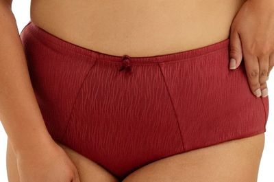 BRIEF FFY U1813 ELISE MRL