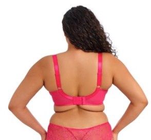 ELOM EL302902 DARCIE UW SEAM PLNG BRA AZA