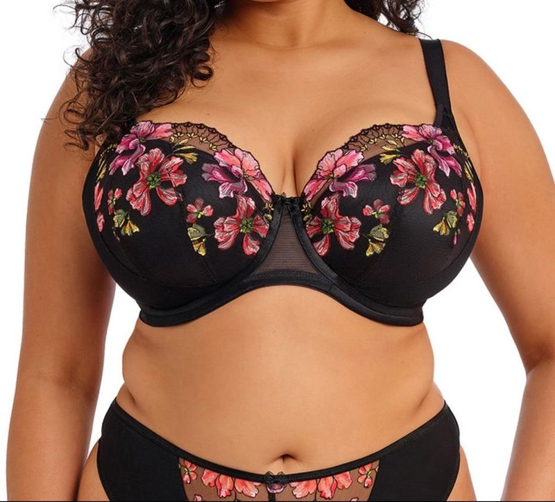 ELOM 302615 TEAGAN UW HLF PAD BRA RAW