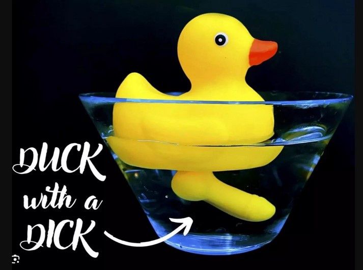 NOV DUCK WITH DICK BATH TOY