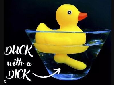 NOV DUCK WITH DICK BATH TOY