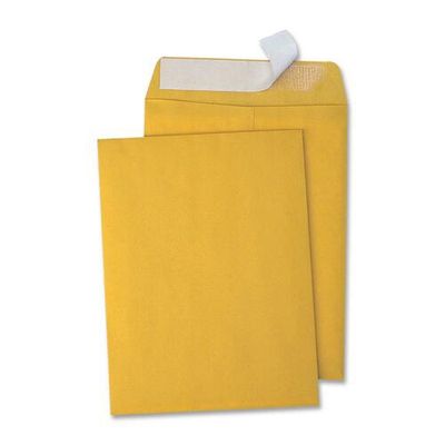 Quality Park Redi-Strip Catalog Peel&amp; Seal Kraft Envelopes, 9" x  12",  28 lb, Box of 100