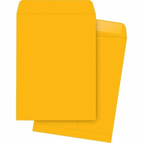 Kraft Gummed Catalog Envelopes, 9 1/2 x 12 1/2", 28 lb, Box of 250