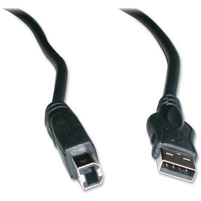 Cable Works Printer Cable, 10'