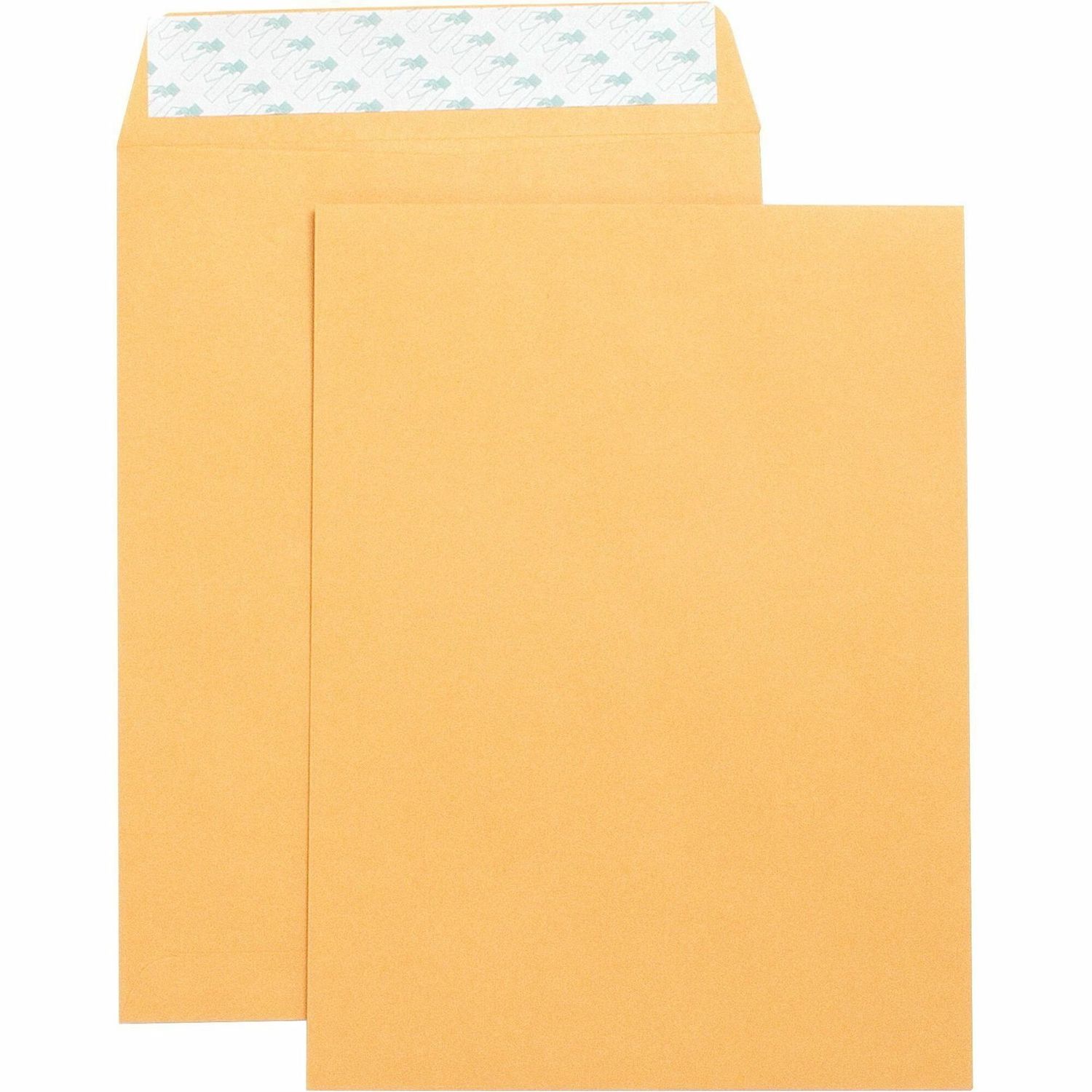 Business Source Self Sealing Kraft Envelopes,  9" x 12",  28 lb, Box of 250