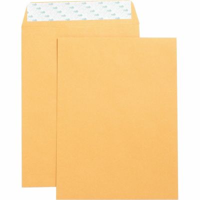 Business Source Self Sealing Kraft Envelopes,  9" x 12",  28 lb, Box of 250