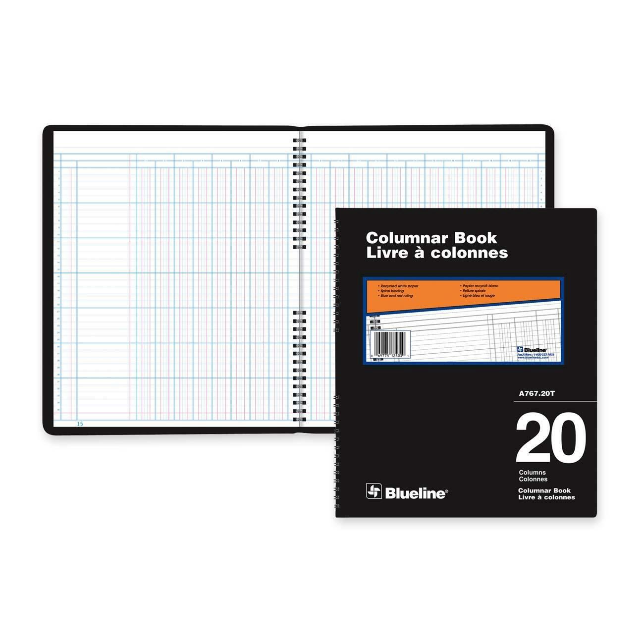 Blueline 767 Series Double Format Columnar Book, 20 Columns
