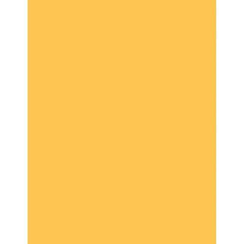Hammermill Colors, Goldenrod, 20lb Bond, 8.5 x 11, Pack of 500 Sheets