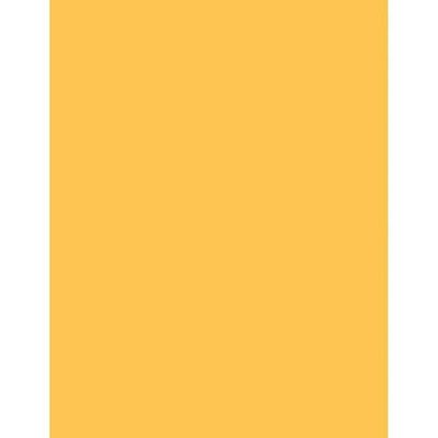 Hammermill Colors, Goldenrod, 20lb Bond, 8.5 x 11, Pack of 500 Sheets
