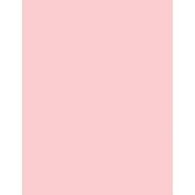 Hammermill Pink Letter Size Paper,  8 1/2" x 11", 20 lb, Ream of 500 Sheets