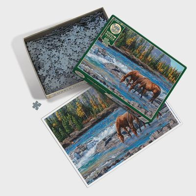 Cobble Hill 1000 Piece Puzzle - On The Rocks