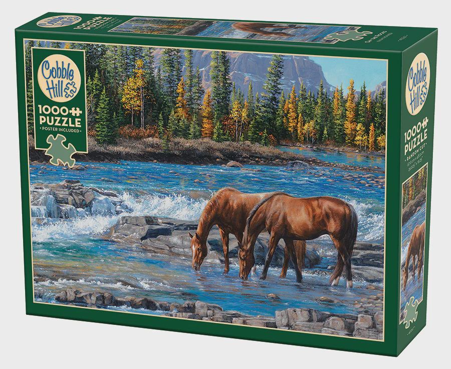 Cobble Hill 1000 Piece Puzzle - On The Rocks