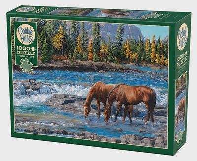 Cobble Hill 1000 Piece Puzzle - On The Rocks