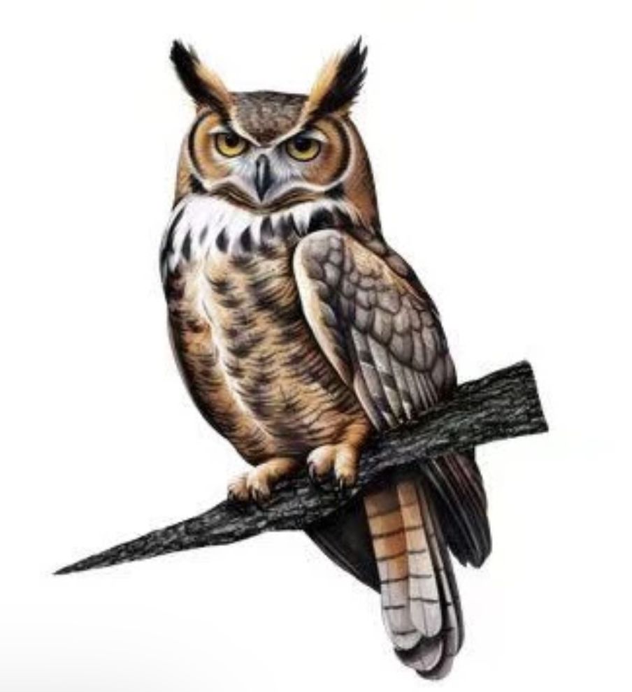 Tree Stake Owl