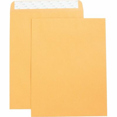 Business Source Self Sealing Kraft Envelopes, 10" x 13", 28 lb, Box of 250