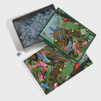 Cobble Hill 1000 Piece Puzzle Birds Of The Forest