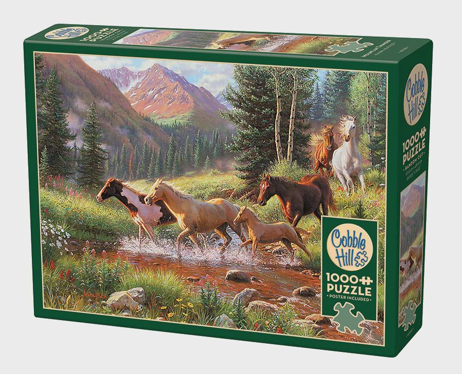 Cobble Hill 1000 Piece Puzzle Mountain Thunder