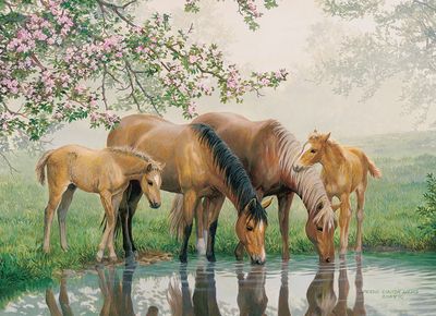 Cobble Hill 35 Piece Tray Puzzle – Watering Hole