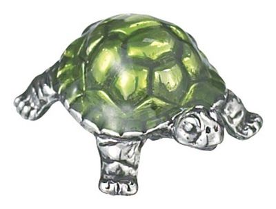 Turtle Charm Token