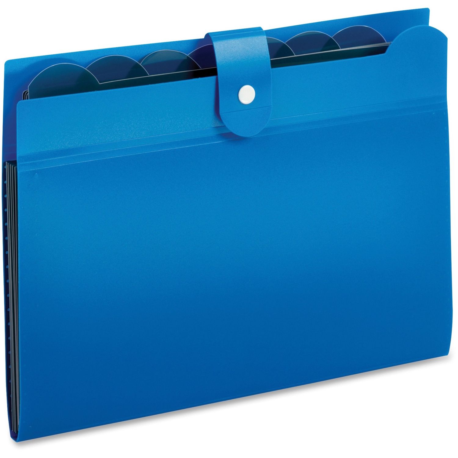 Pendaflex Letter Expanding File, 7 Pocket, Blue