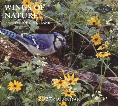 2027 Calendar Wings Of Nature Pine Ridge Art