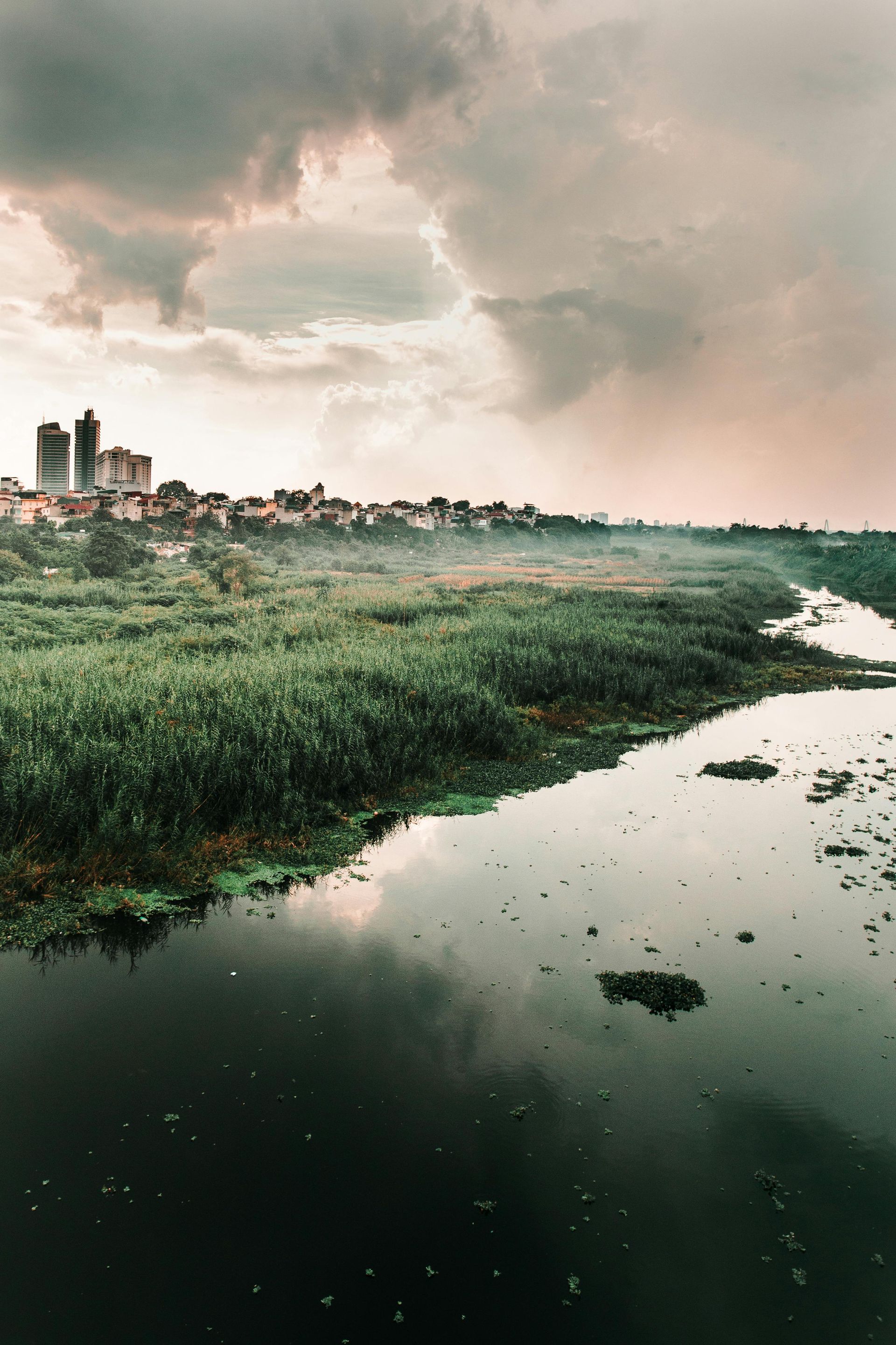 WAITLIST - Ontario Wetland Evaluation System (OWES) Course - June 15-19, 2026