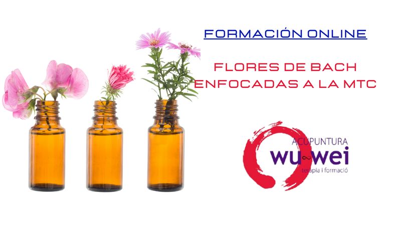 Formación Flores de Bach &amp; Mtc