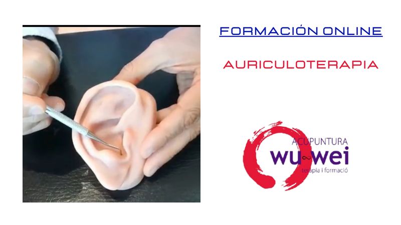 Formación Auriculoterapia Online