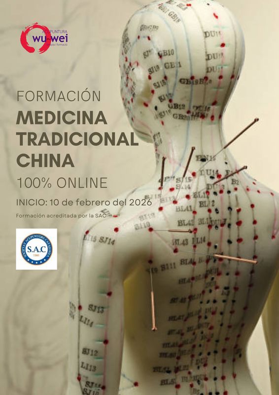 Medicina Tradicional China Online 170€* (Los 50 primeros inscritos 99€*)  *Cuota mensual