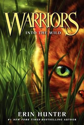Into the Wild, Material: Paperback