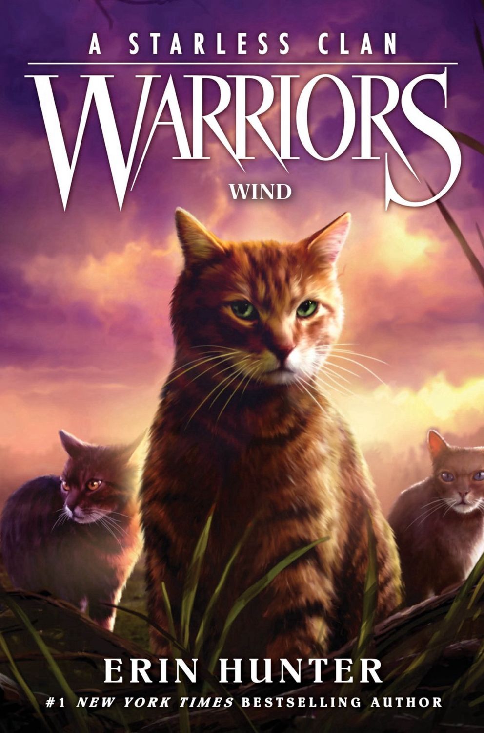 Warriors: A Starless Clan #5: Wind, Material: Paperback