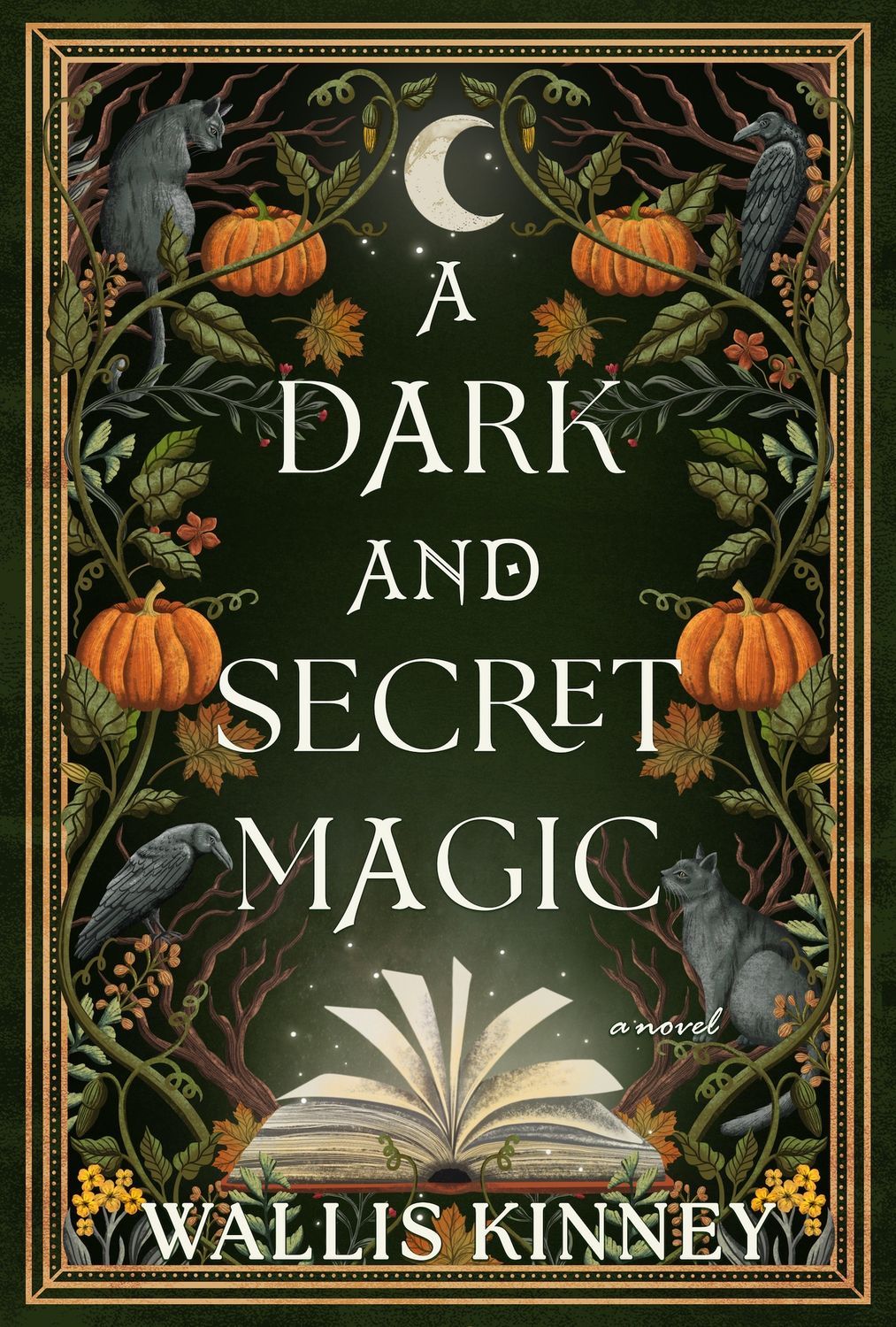 A Dark and Secret Magic, Material: Hardcover