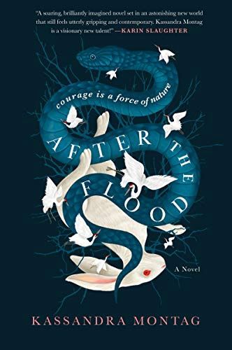 After the Flood, Material: Paperback