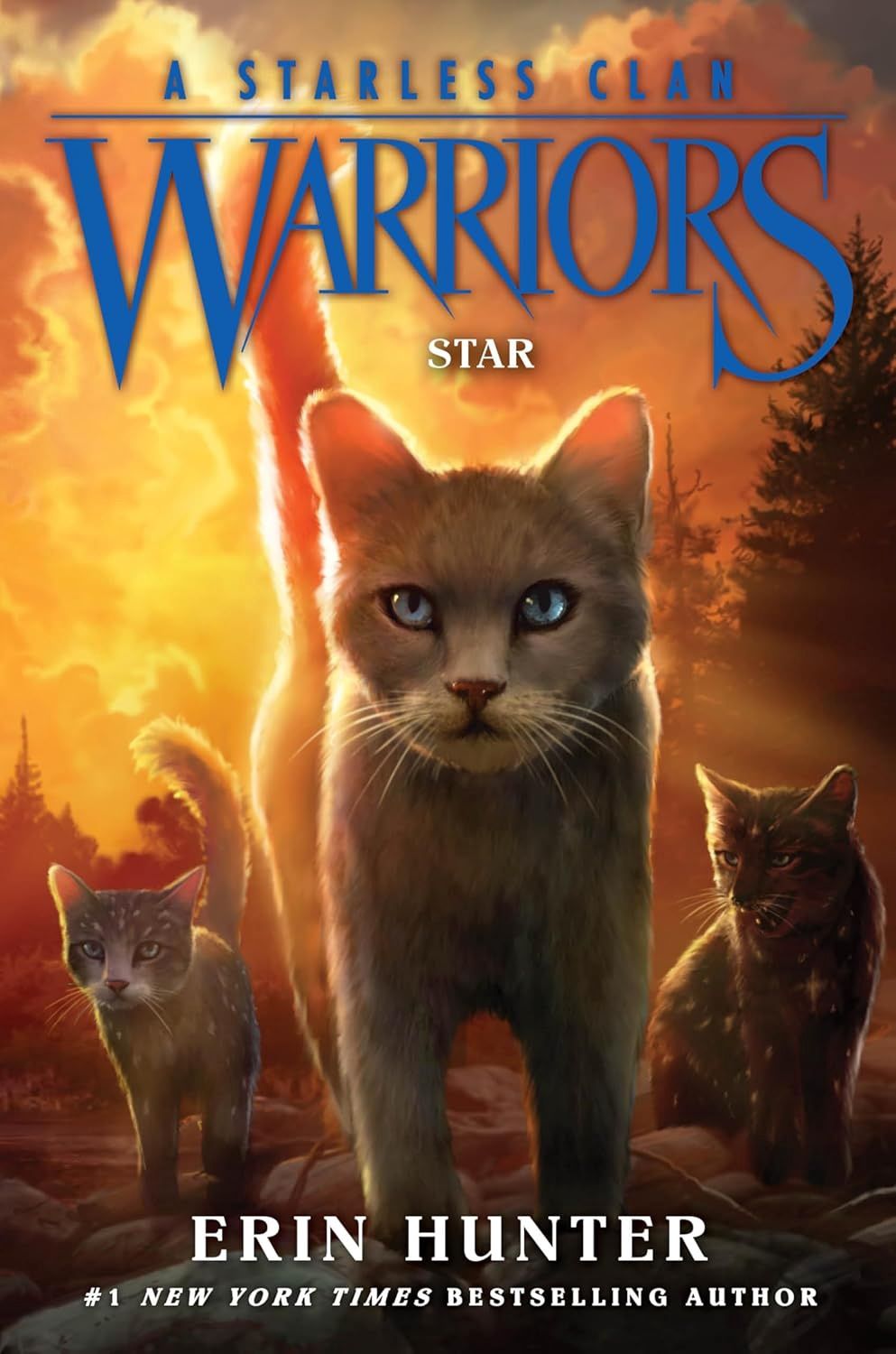 Warriors: A Starless Clan #6: Star Warriors: A Starless Clan #6: Star, Material: Paperback