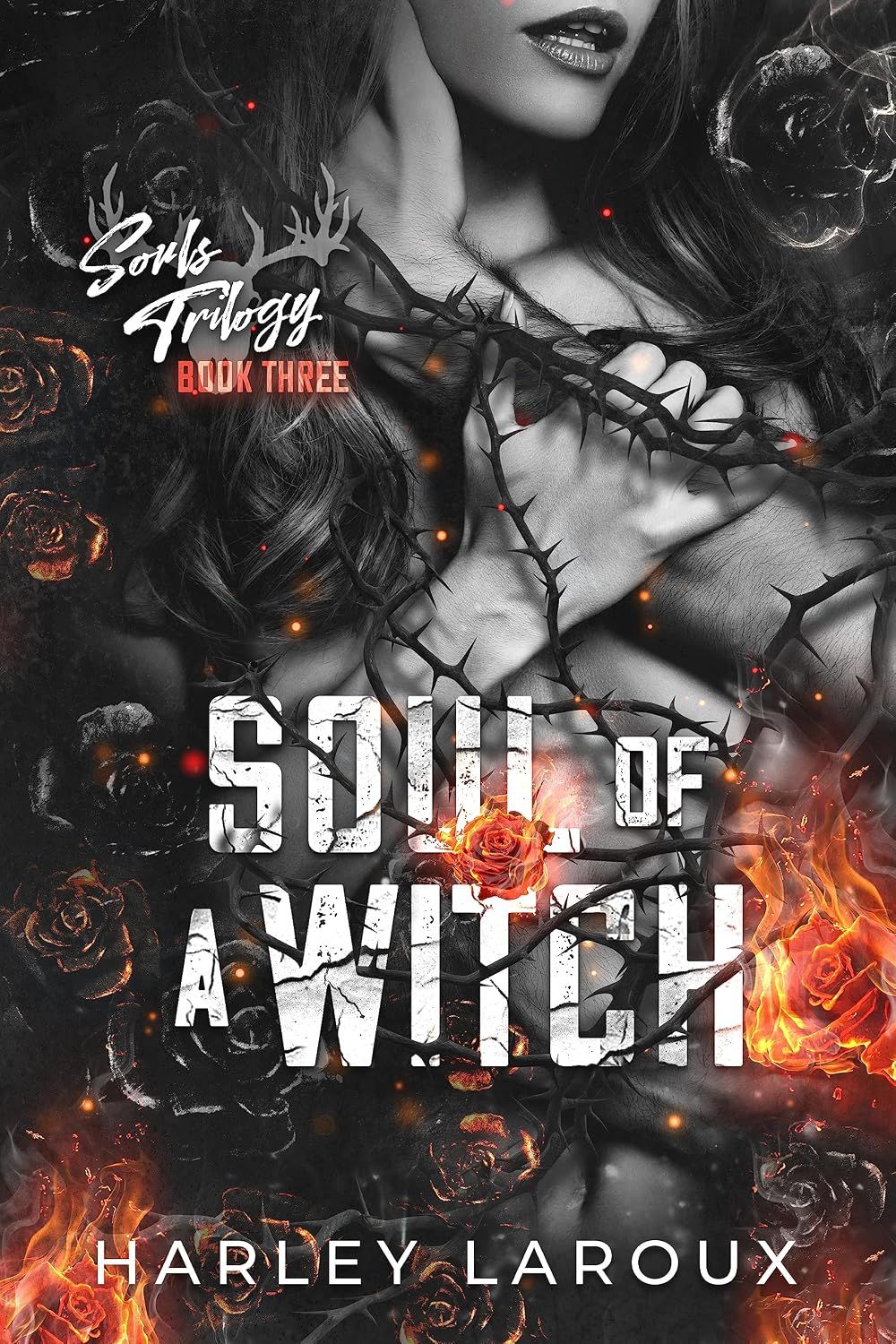 Soul of a Witch (Souls 3), Material: Paperback
