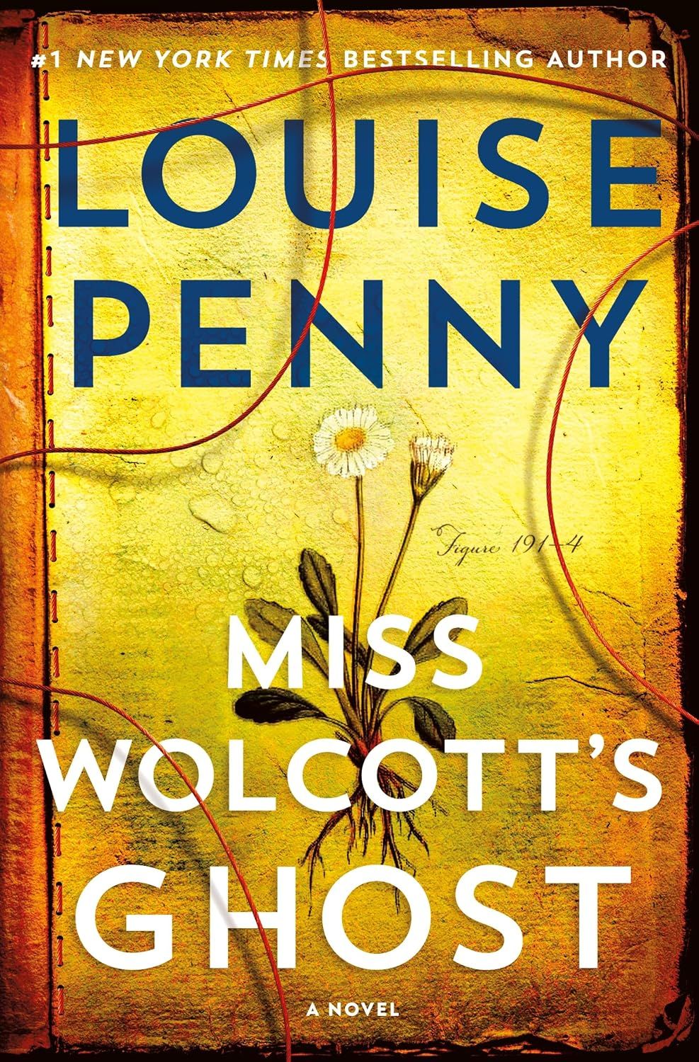 Miss Wolcott's Ghost (Chief Inspector Armand Gamache #21), Material: Hardcover