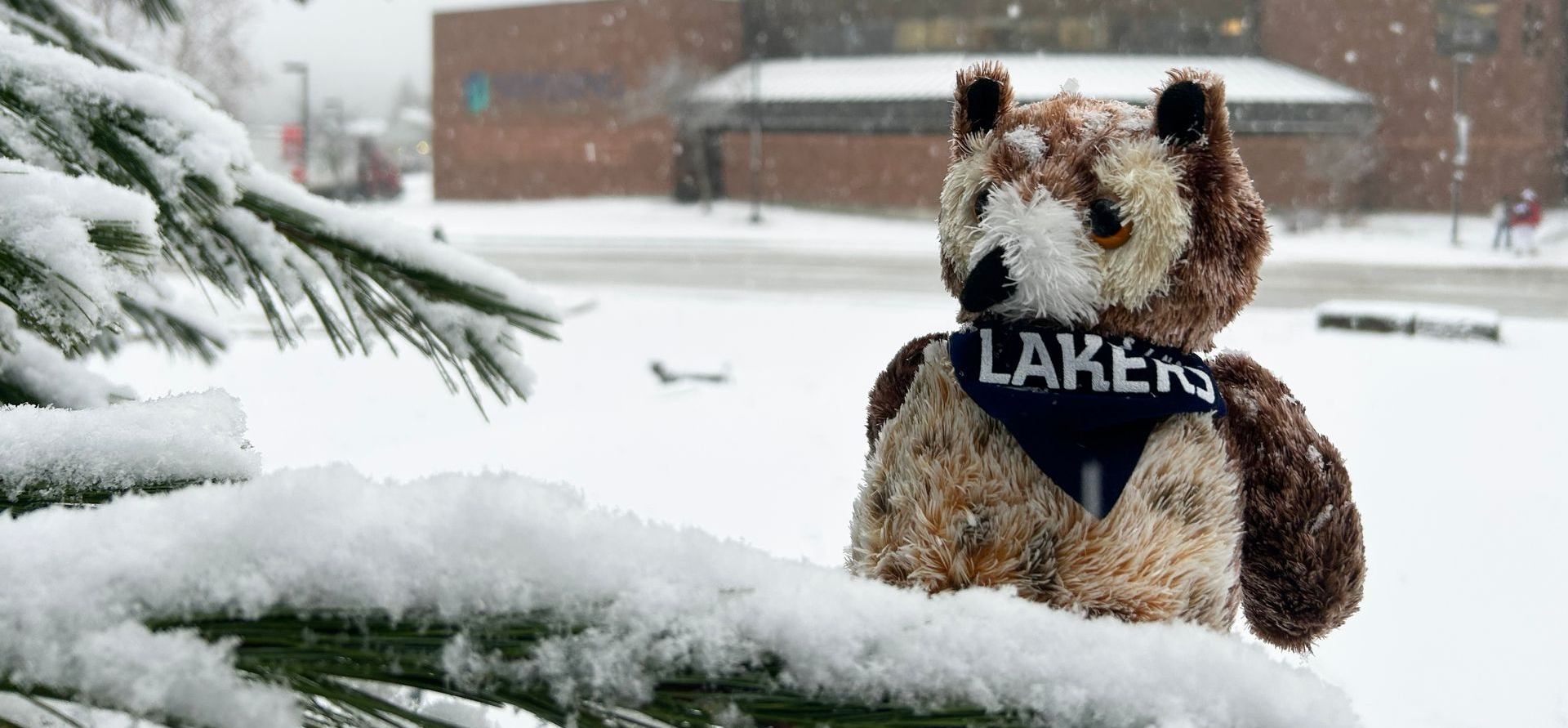 Lakers Plush Owl