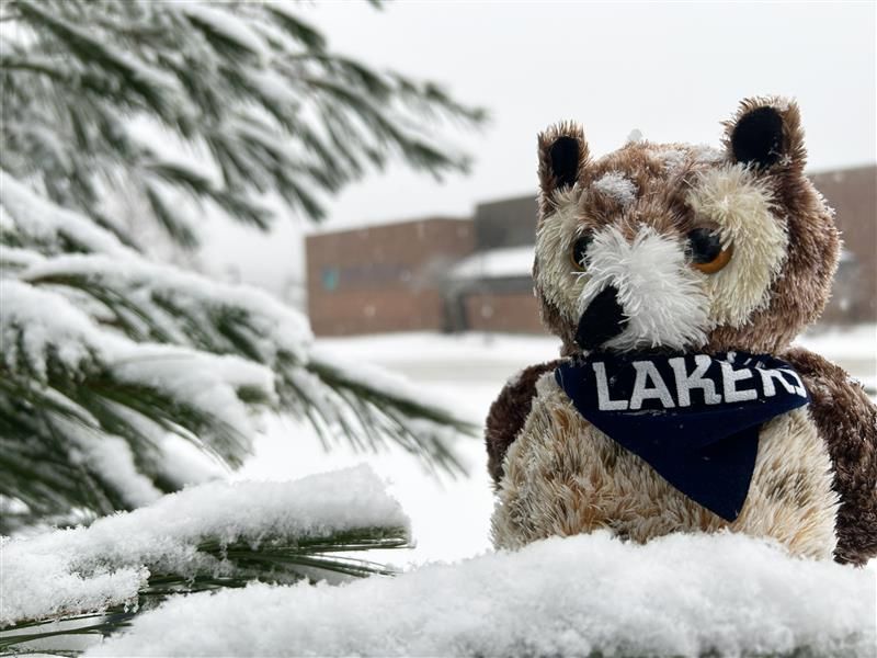 Lakers Plush Owl