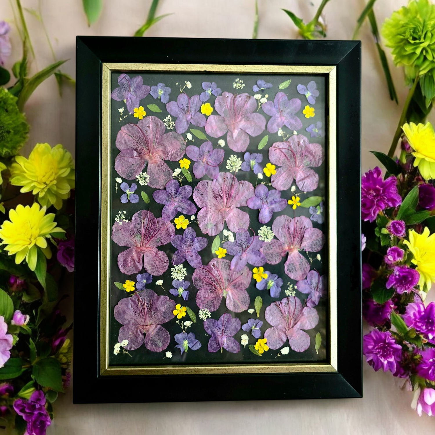 Framed wall art with real pressed flowers in pink, purple, and yellow tones arranged on a black background 